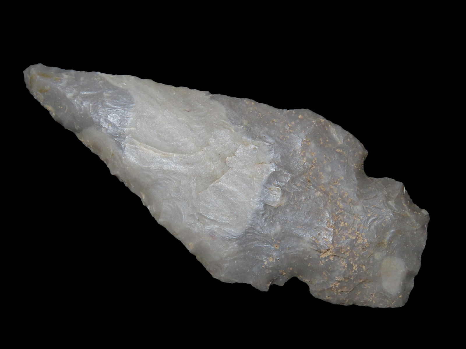 3 1/4" Turkey Tail Pt. Found In Kentucky EX: Jeff Thompson (1 of 8)