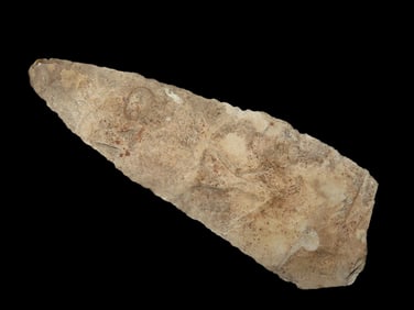 5 1/4" Archaic Blade Found In Missouri EX: Jeff Thompson