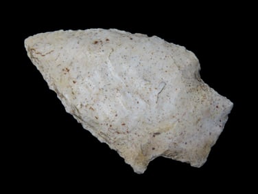 2 1/2" Alachua Pt. Camden Co. Georgia Found Between 1968-2023 By Jeff Thompson