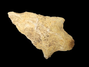 2 5/8" Marion Pt, Brevard Co Florida Found Between 1968-2023 By Jeff Thompson