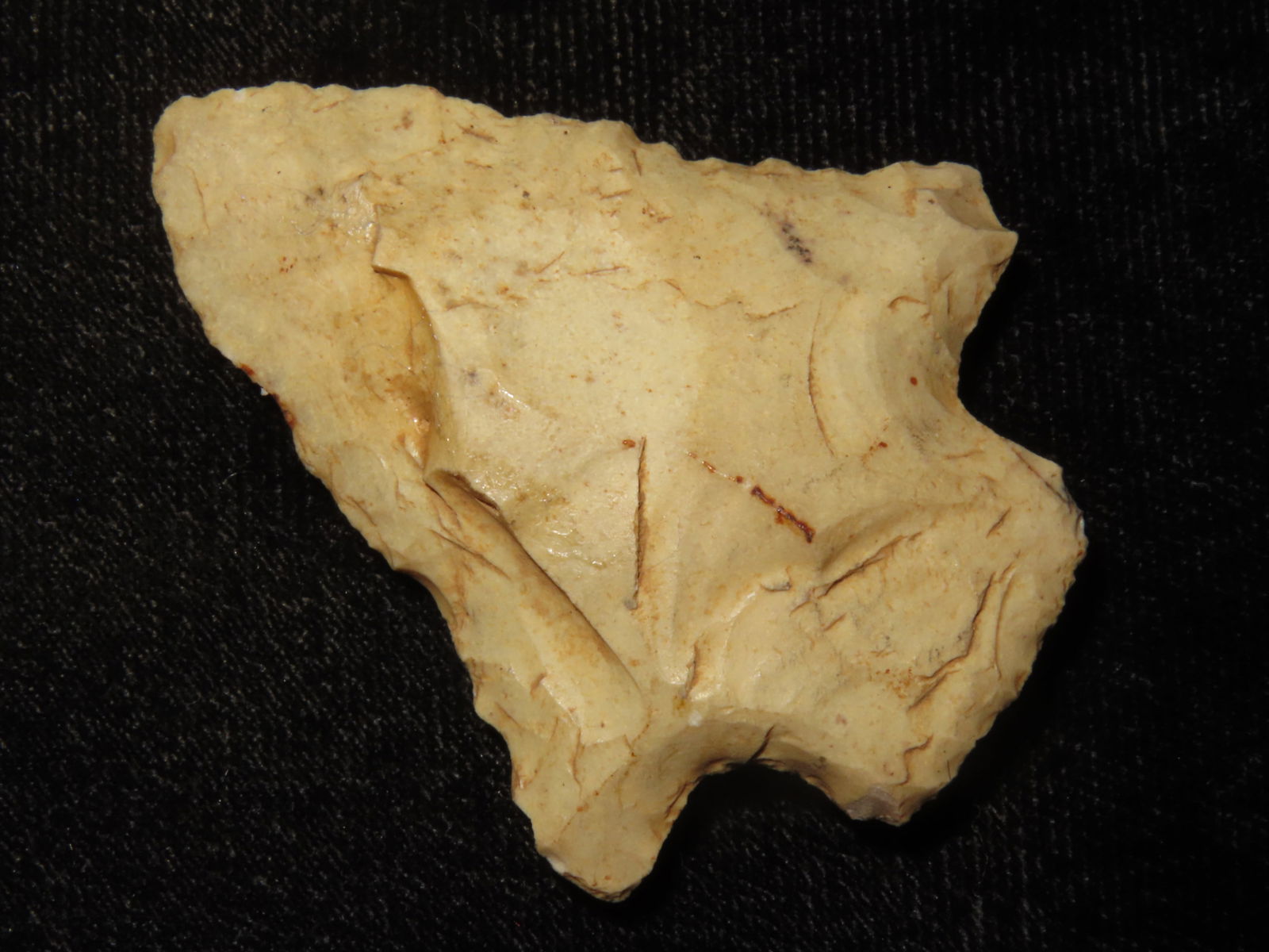 1 7/8" Abbey Pt. Nassau Co. Florida Found Between 1968-2023 By Jeff Thompson (1 of 7)