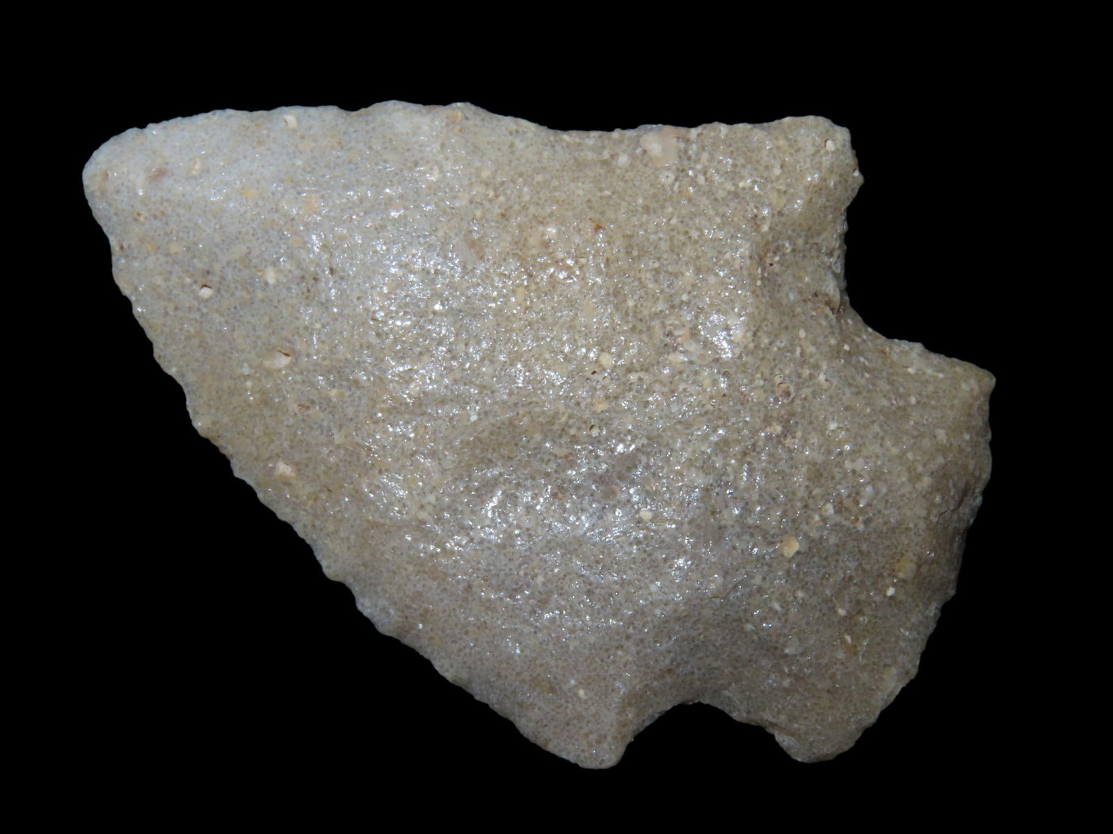 2 1/4" Tallahatta Abbey Point Semi Translucent Found Between 1968-2023 By Jeff Thompson In Either (1 of 6)