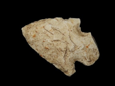 1 5/8" Lafayette Pt. Camden Co, Georgia Found Between 1968-2023 By Jeff Thompson