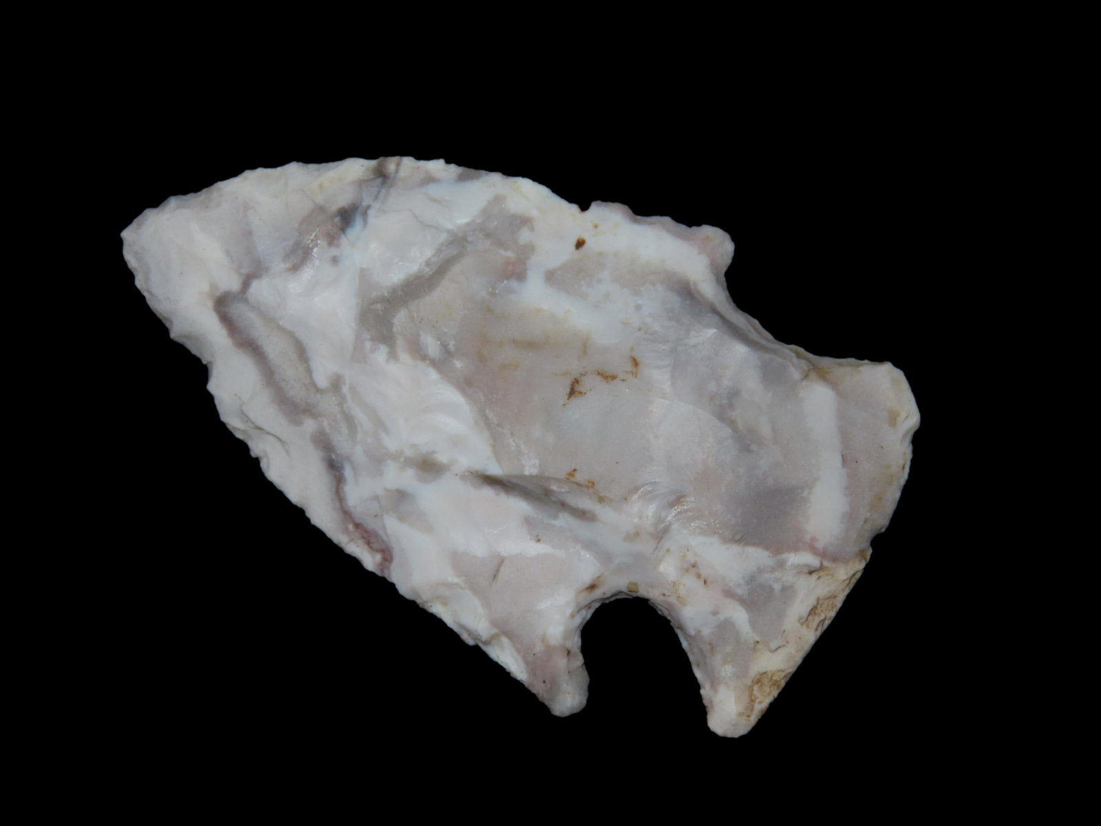 2 " Lafayette Pt. Polk Co. Florida Found Between 1968-2023 By Jeff Thompson (1 of 6)