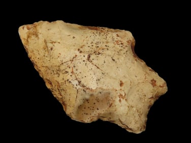 2 1/16" Seminole Pt. Nassau Co.  Florida Found Between 1968-2023 By Jeff Thompson