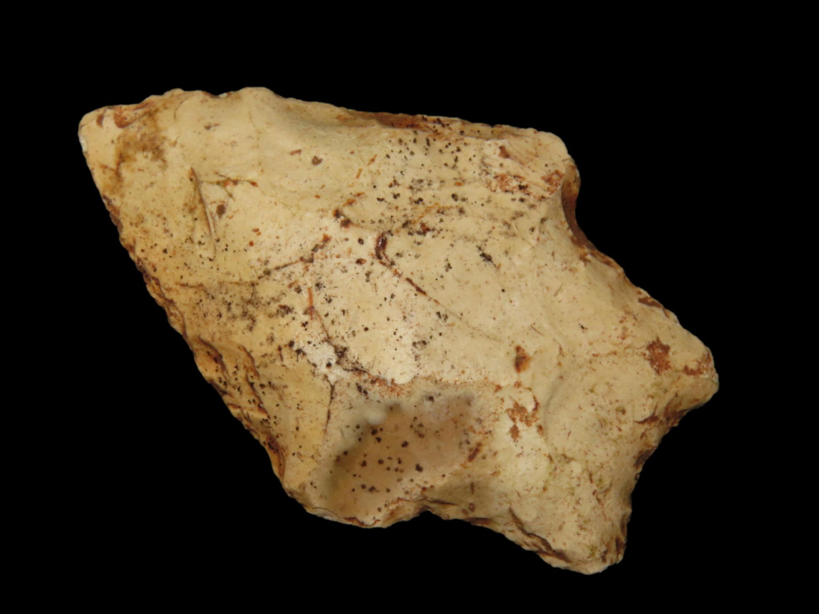 2 1/16" Seminole Pt. Nassau Co. Florida Found Between 1968-2023 By Jeff Thompson (1 of 5)