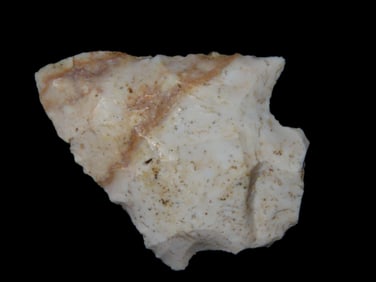 1 7/8" Abbey Marion Co. Florida Found Between 1968-2023 By Jeff Thompson