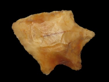 1 3/4" Seminole Pt, Nassau Co. Florida Found Between 1968-2023 By Jeff Thompson