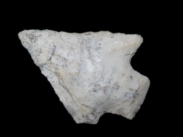 2 1/4" Abbey Pt, Camden Co. Georgia Found Between 1968-2023 By Jeff Thompson