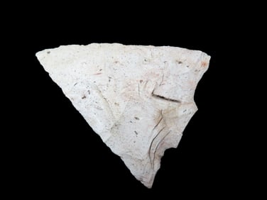 2 1/ 8" Snap Base Found Between 1968-2023 By Jeff Thompson In Either Brevard Seminole Nassau Broward