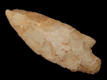 3 1/2" Newnan Pt. Polk Co. Florida Found Between 1968-2023 By Jeff Thompson