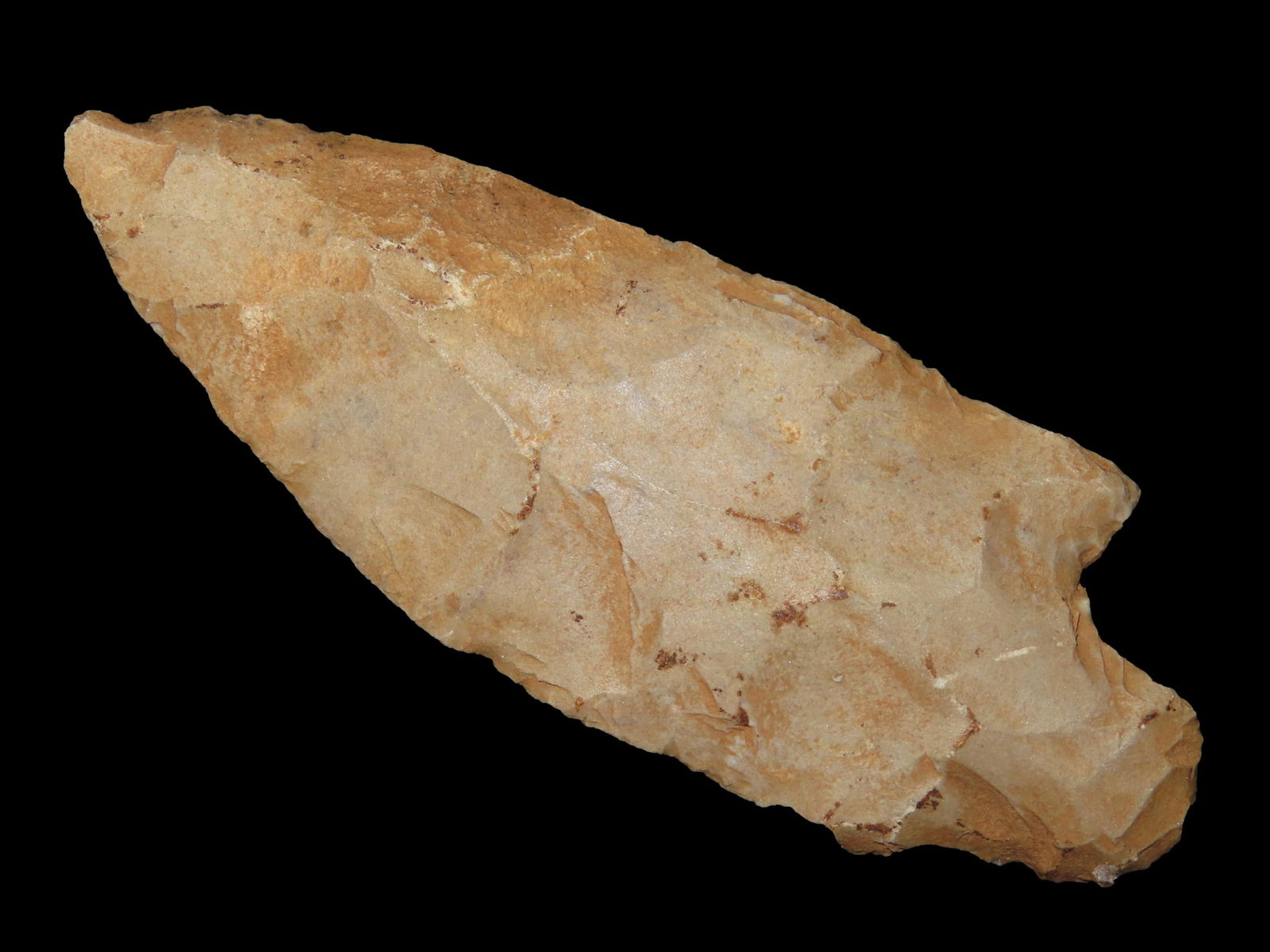 3 1/2" Newnan Pt. Polk Co. Florida Found Between 1968-2023 By Jeff Thompson (1 of 6)