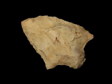 2 1/8" Abbey Pt. Polk Co. Florida Found Between 1968-2023 By Jeff Thompson