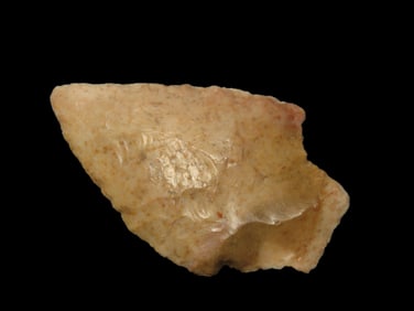 2 3/8" Newman Pt. Polk Co. Florida Found Between 1968-2023 By Jeff Thompson