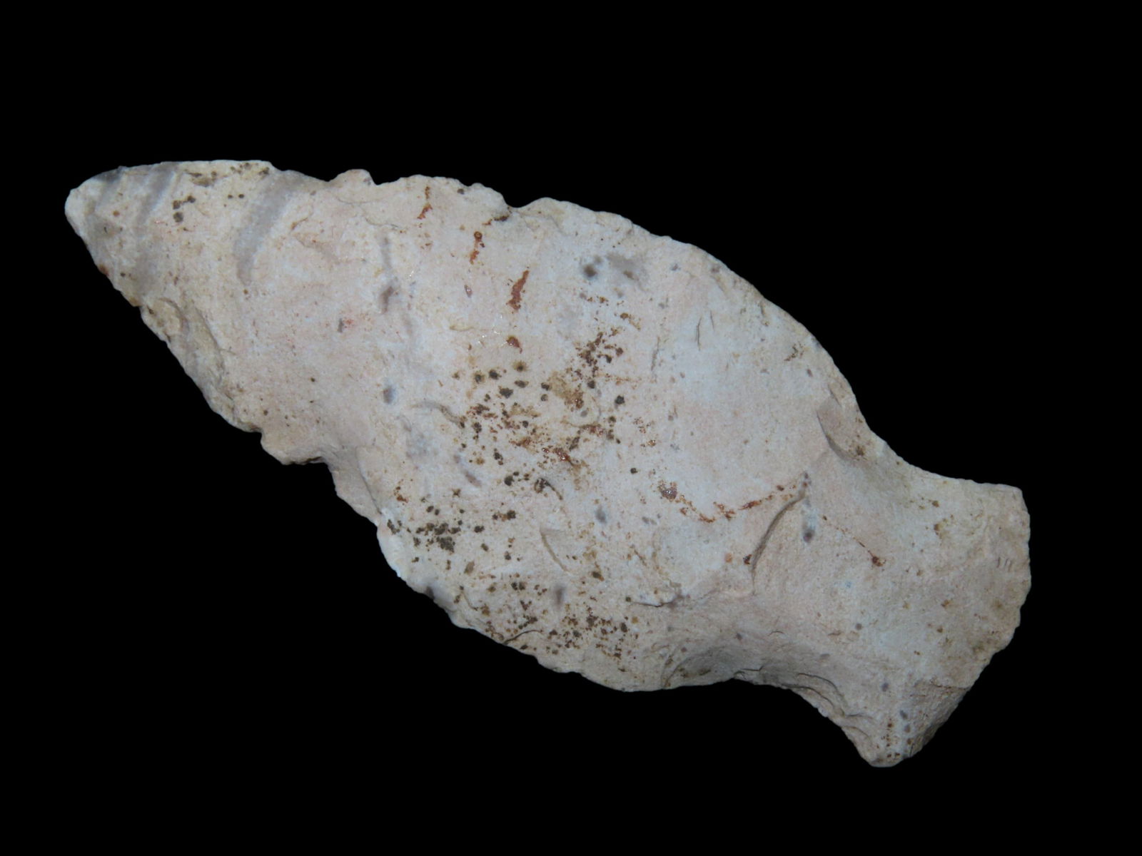 2 1/2" Elk River Bottleneck Found By Jeff Thompson In Either Brevard Seminole Nassau Broward Marion (1 of 7)