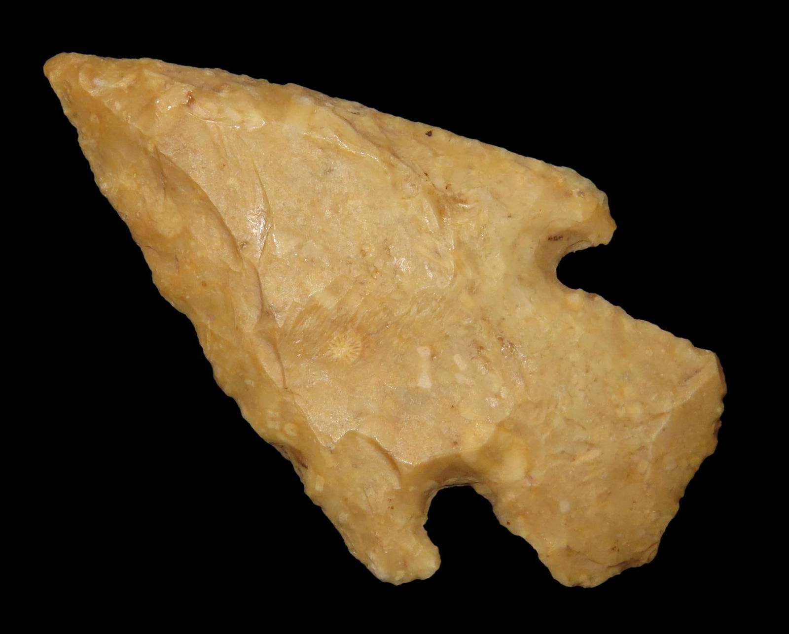 2" Apple Creek Found In Missouri EX: Jeff Thompson (1 of 5)