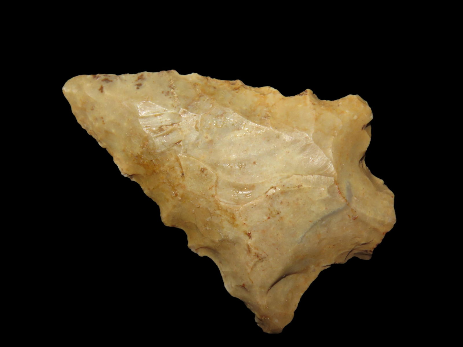 1 3/4" Elora, Pt. Polk Co. Florida Found Between 1968-2023 By Jeff Thompson (1 of 8)