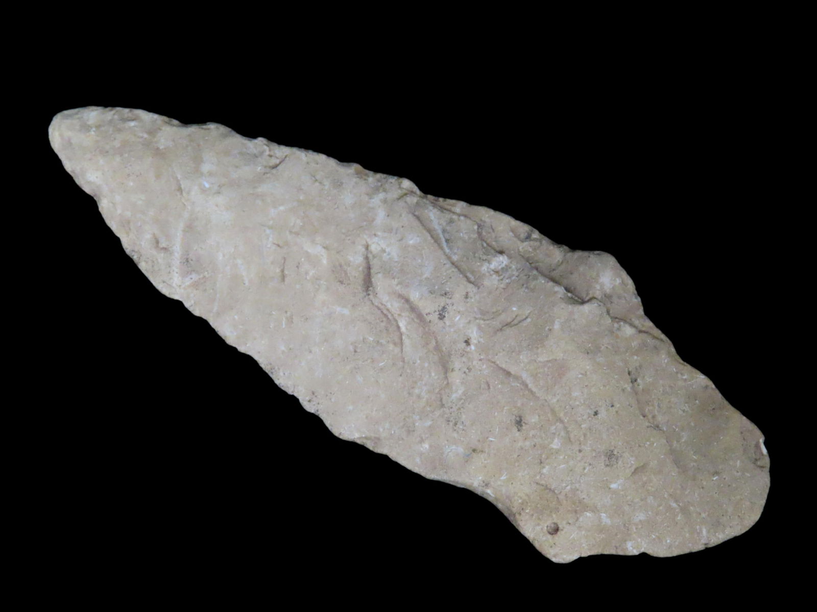 3 1/2" Adena Pt. Camden Co. Georgia Found Between 1968-2023 By Jeff Thompson (1 of 8)