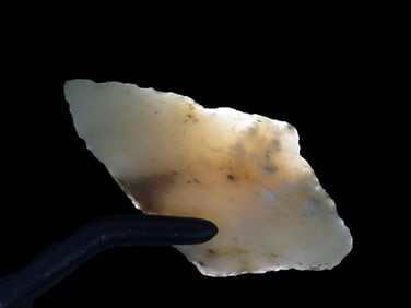 2 1/8" Weeden Island Pt. Polk Co. Florida Found Between 1968-2023 By Jeff Thompson