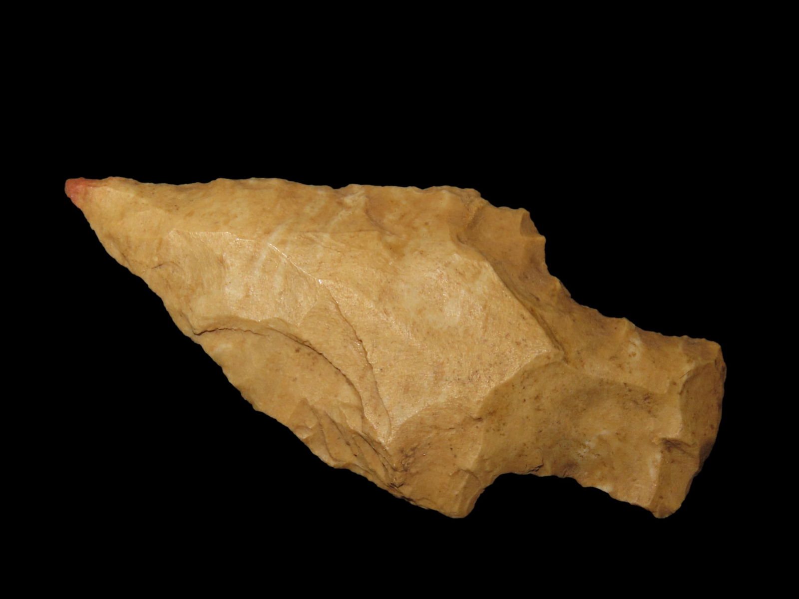 2 3/8" Bradford Pt. Polk Co, Florida Found Between 1968-2023 By Jeff Thompson (1 of 7)