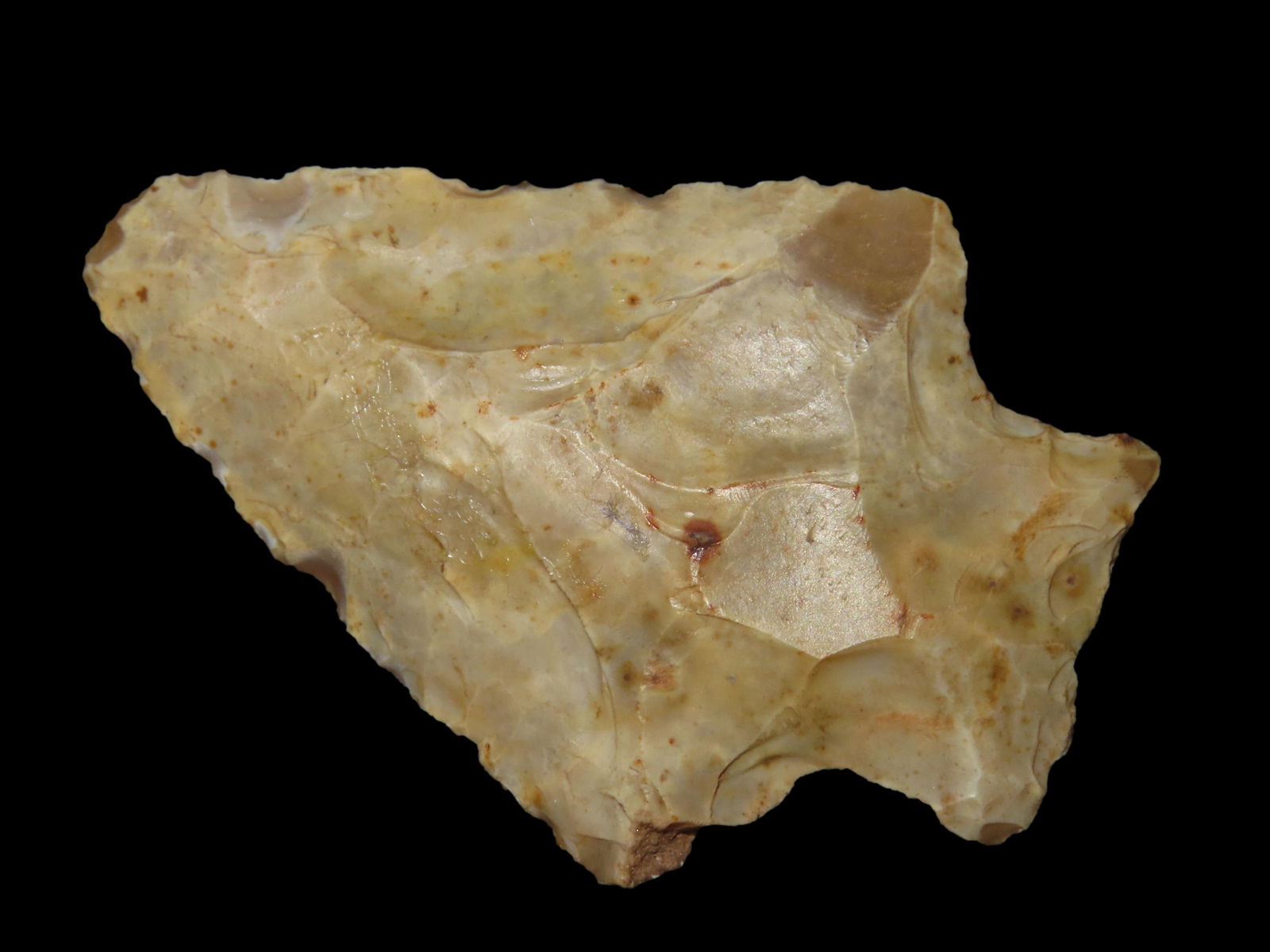 2 1/4" Elora Pt. Brevard Co. Florida Found Between 1968-2023 By Jeff Thompson (1 of 9)