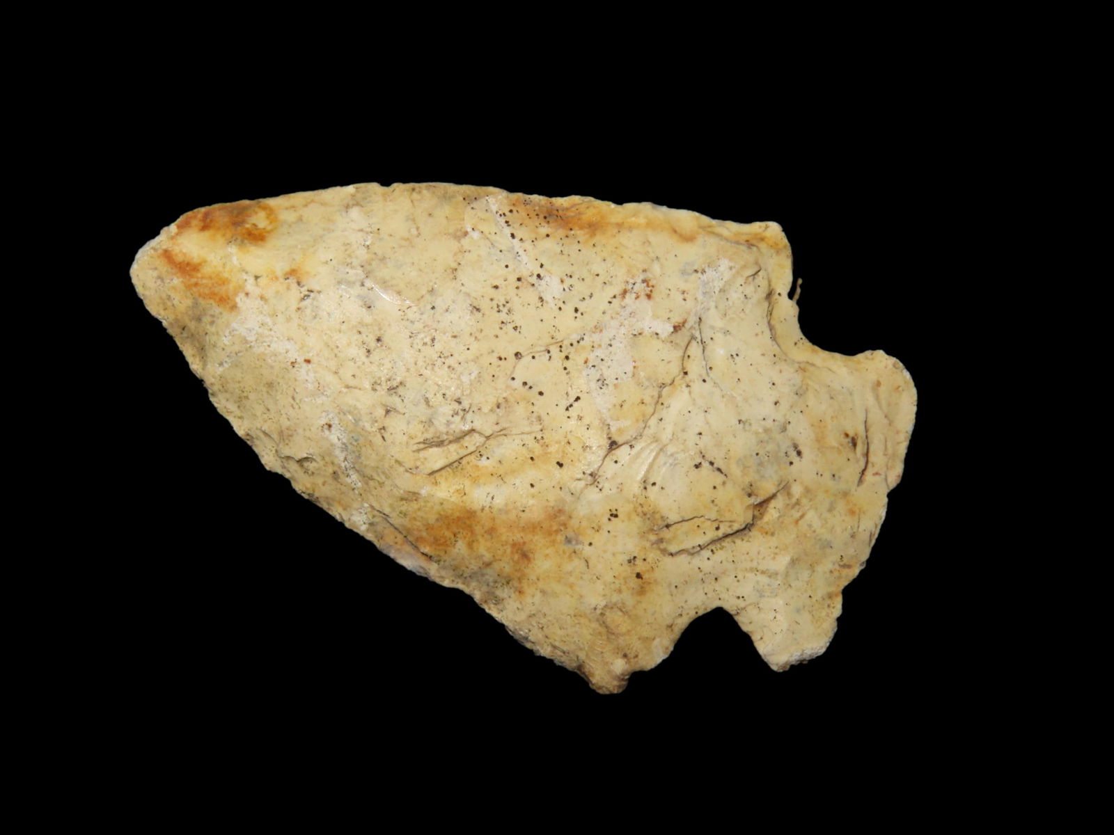 1 5/8" Broward Pt. Nassau Co. Florida Found Between 1968-2023 By Jeff Thompson (1 of 6)