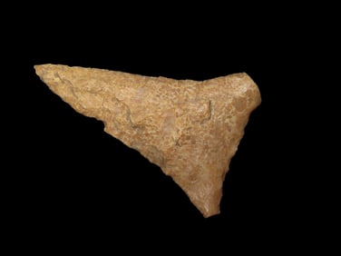 1 5/16" Fort Ancient Pt. Found In 1929 Near The City Of Ashland Boyd Co. Kentucky