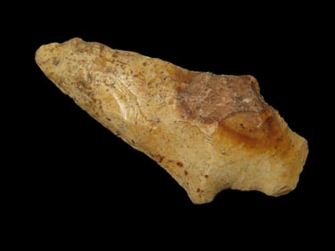 2 5/8" Levy Pt. Nassau Co. Florida Found Between 1968-2023 By Jeff Thompson