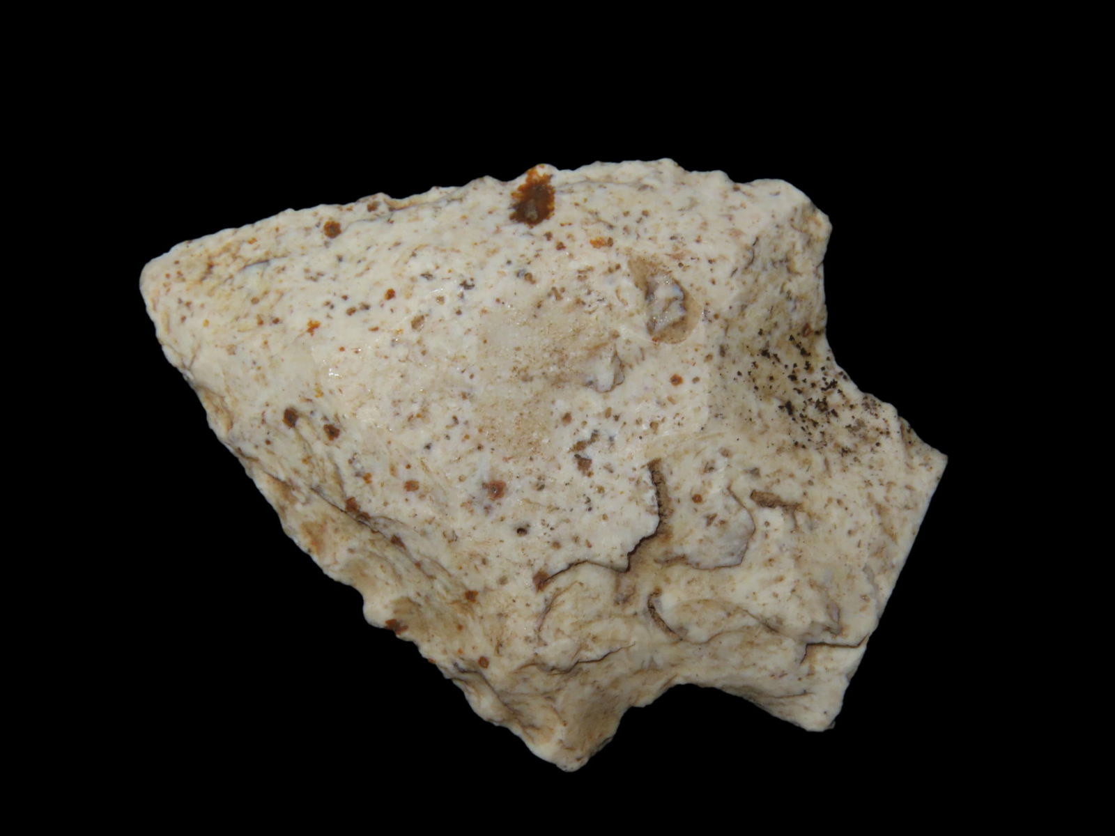 2 3/4" Elora Pt. Brevard Co. Florida Found Between 1968-2023 By Jeff Thompson (1 of 6)