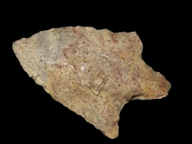 2 1/4" Levy Pt. Marion Co. Florida Found Between 1968-2023 By Jeff Thompson