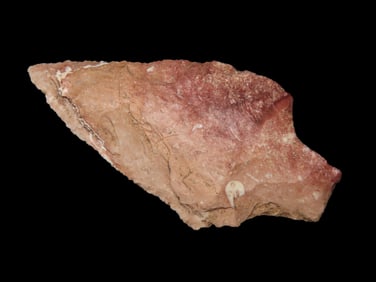 2 7/8" Newman Pt. Marion Co. Florida Found Between 1968-2023 By Jeff Thompson