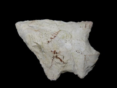 2" Abbey Pt, Camden, Co. Georgia Found Between 1968-2023 By Jeff Thompson