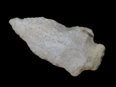 2 7/8" Abbey Pt, Polk Co. Florida Found Between 1968-2023 By Jeff Thompson