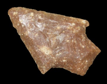 1 3/4" Newnan Pt. Marion Co. Florida Found Between 1968-2023 By Jeff Thompson