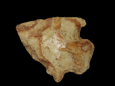 1 3/4" Abbey Found Between 1968-2023 By Jeff Thompson In either Brevard Seminole Nassau Broward