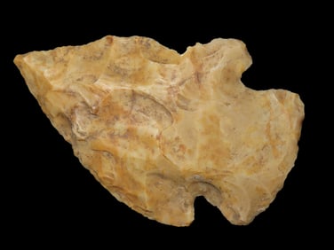 2 3/8" Lafayette Pt. Polk Co. Florida Found Between 1968-2023 By Jeff Thompson