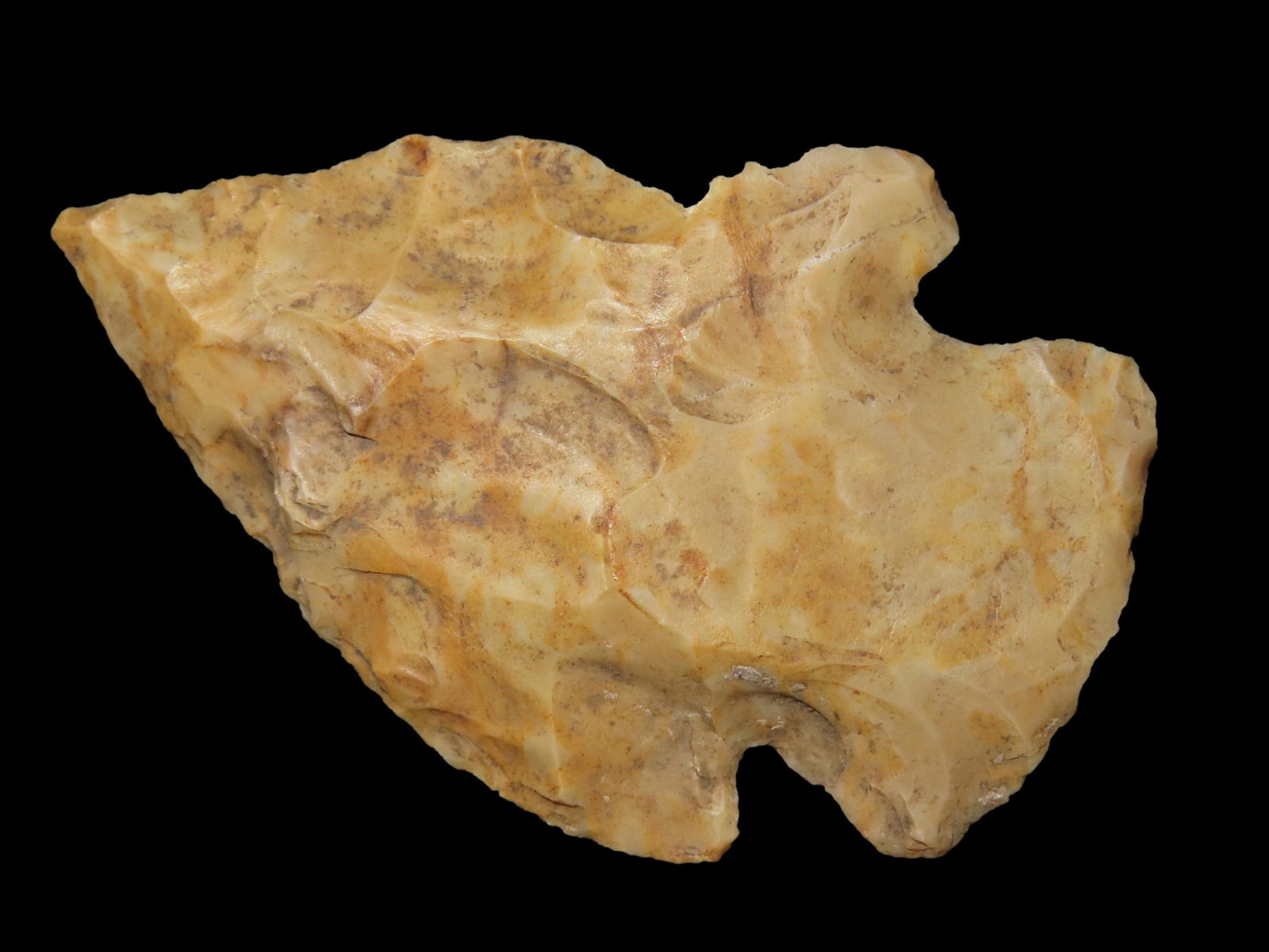 2 3/8" Lafayette Pt. Polk Co. Florida Found Between 1968-2023 By Jeff Thompson (1 of 7)