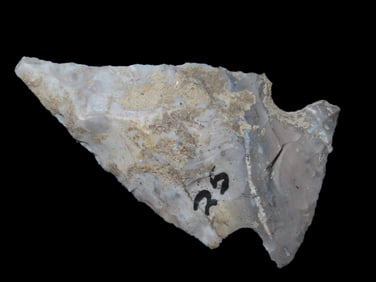 3 1/2" Bolen Plain Pt. Camden Co. Georgia Found Between 1968-2023 By Jeff Thompson