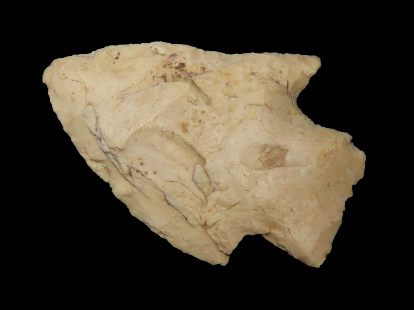 1 3/4" Pickwick Pt. Camden co. Georgia Found Between 1968-2023 By Jeff Thompson (1 of 6)