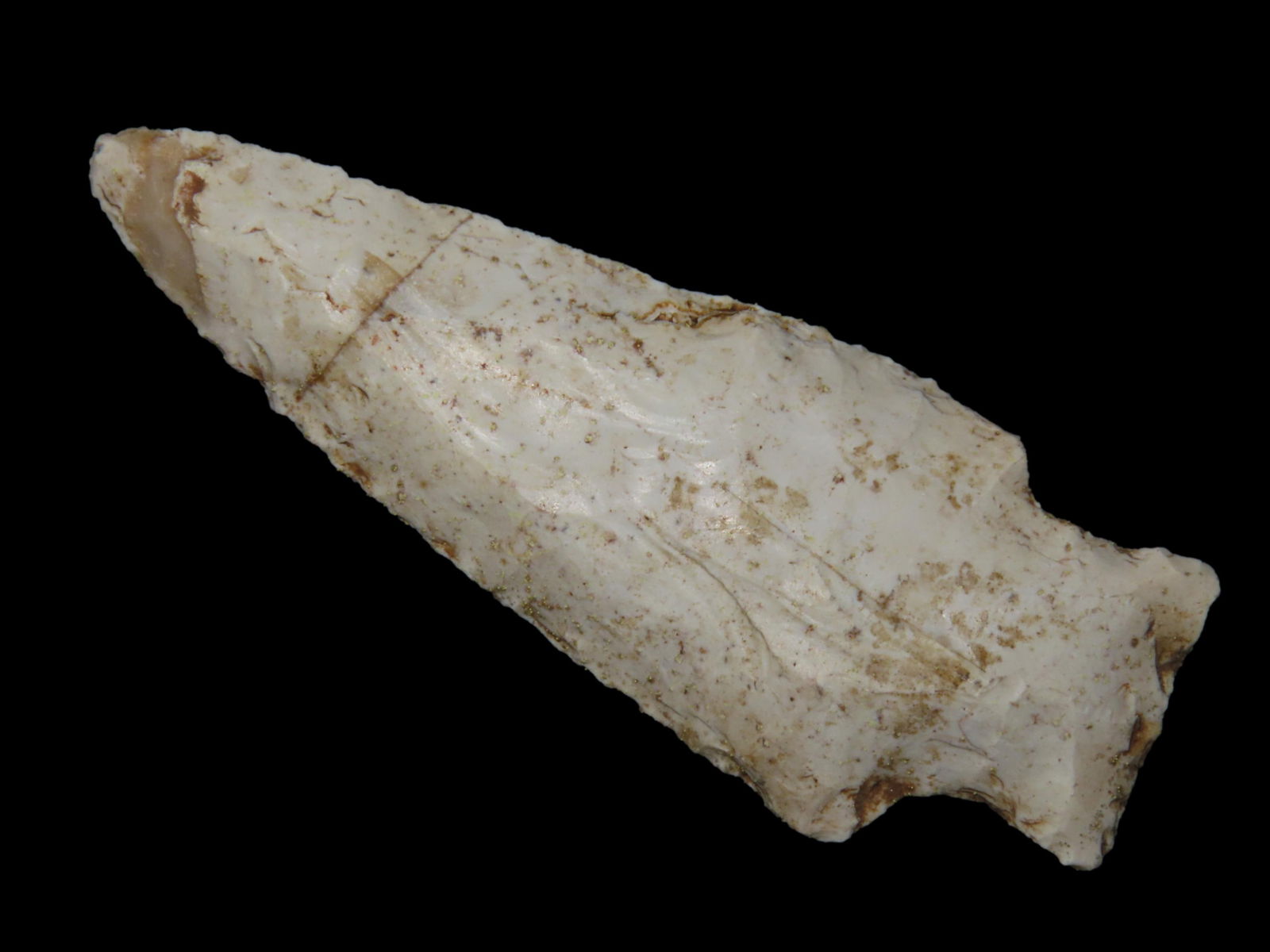 2 3/4" Sarasota Pt. Marion Co. Florida Found Between 1968-2023 By Jeff Thompson (1 of 7)