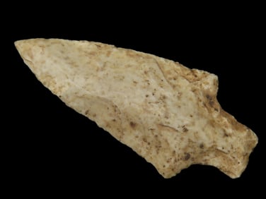 2 5/8" Newnan Pt. Camden Co. Georgia Found Between 1968-2023 By Jeff Thompson