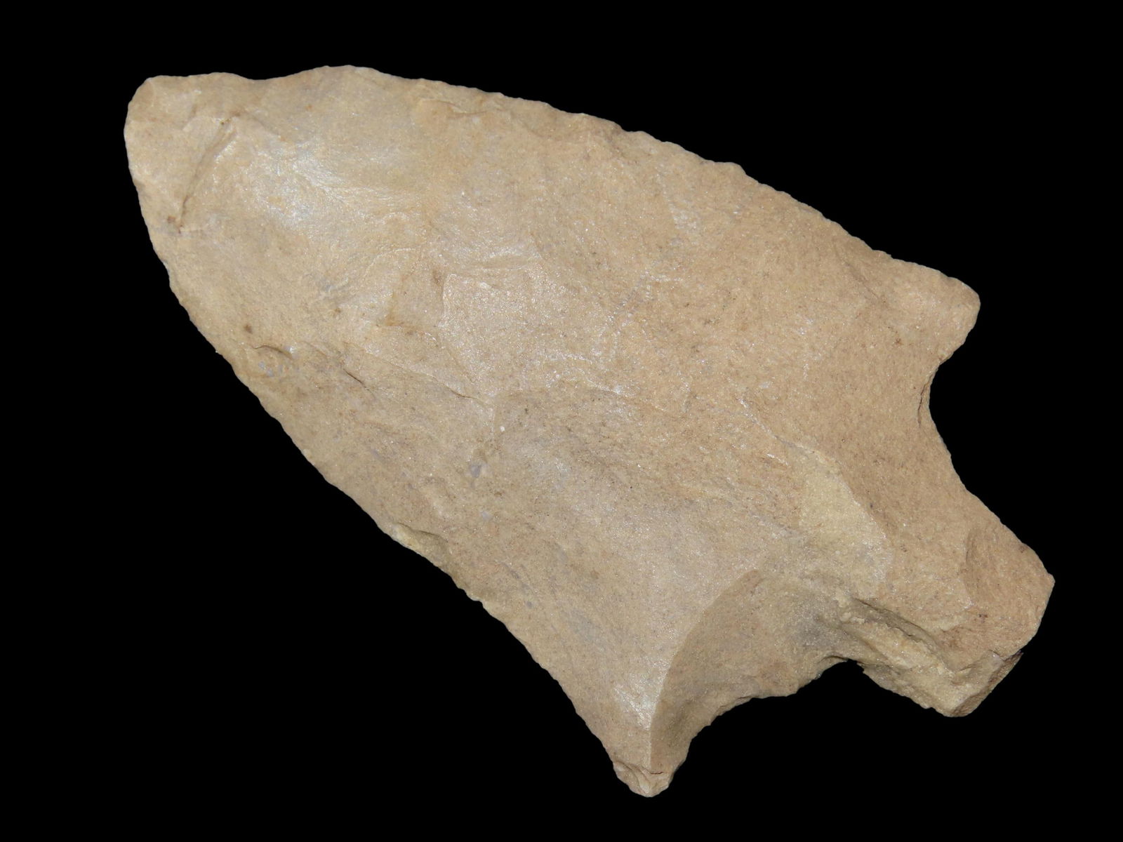 2 5/8" Pickwick Found By Jeff Thompson In either Brevard Seminole Nassau Broward Marion or Polk (1 of 7)