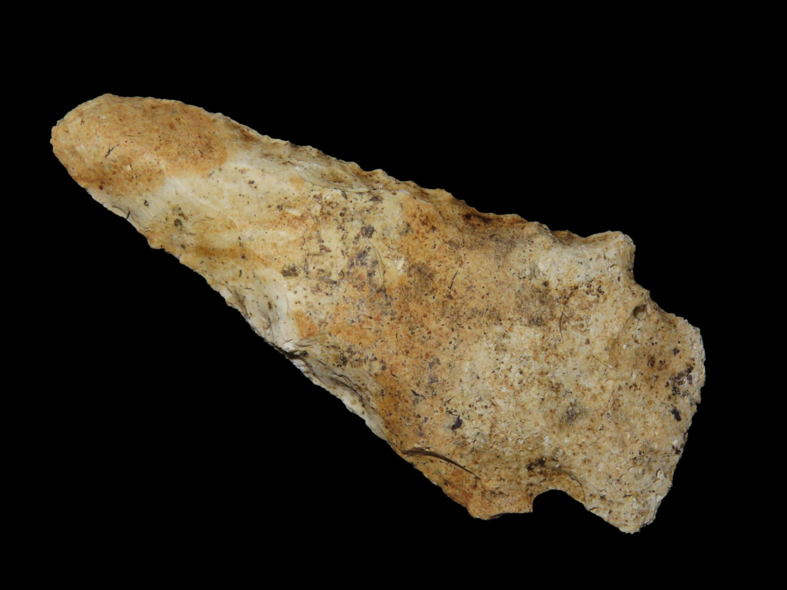 2 3/4" Beveled Point Found Between 1968-2023 By Jeff Thompson in either Brevard Seminole Nassau: 2 3/4" Beveled Point Found Between 1968-2023 By Jeff Thompson in either Brevard Seminole Nassau Broward Marion Or Polk Co. Florida Or Camden Co, Georgia