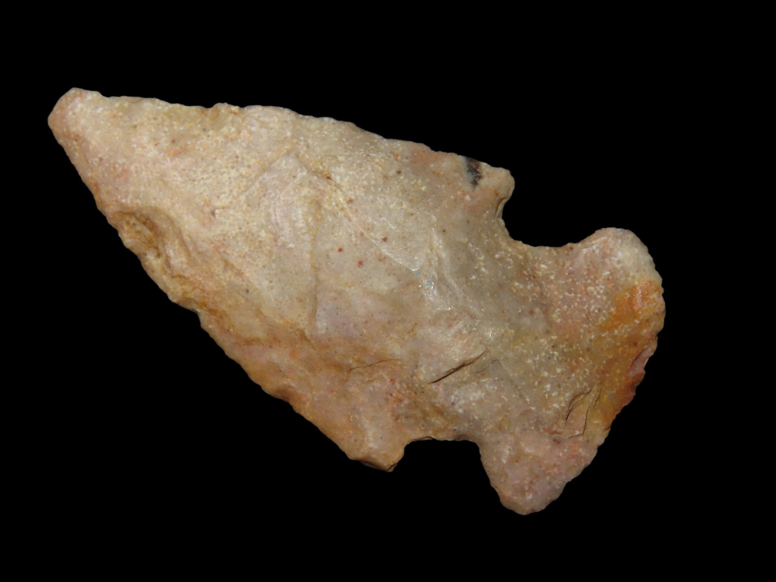 2" Bolen, found in either Florida or Georgia between 1968-2023 by Jeff Thompson (1 of 7)