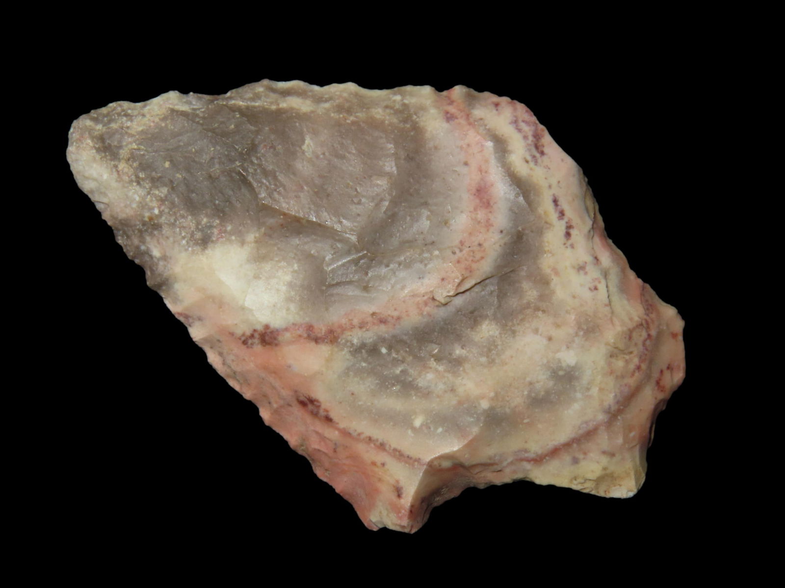 2" SEminole Pt, found in Nassau Co., Florida between 1968-2023 by Jeff Thompson (1 of 6)