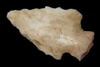 7/8" Bird Pt., found in Florida, Ex Jeff Thompson Collection