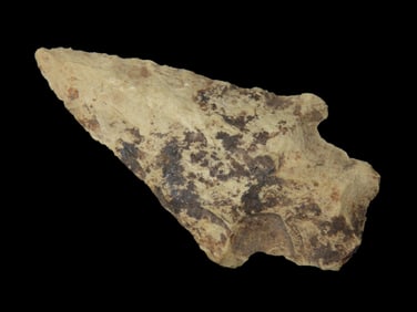 2 3/8" Arrowhead found in either Florida or Georgia between 1968-2023 by Jeff Thompson