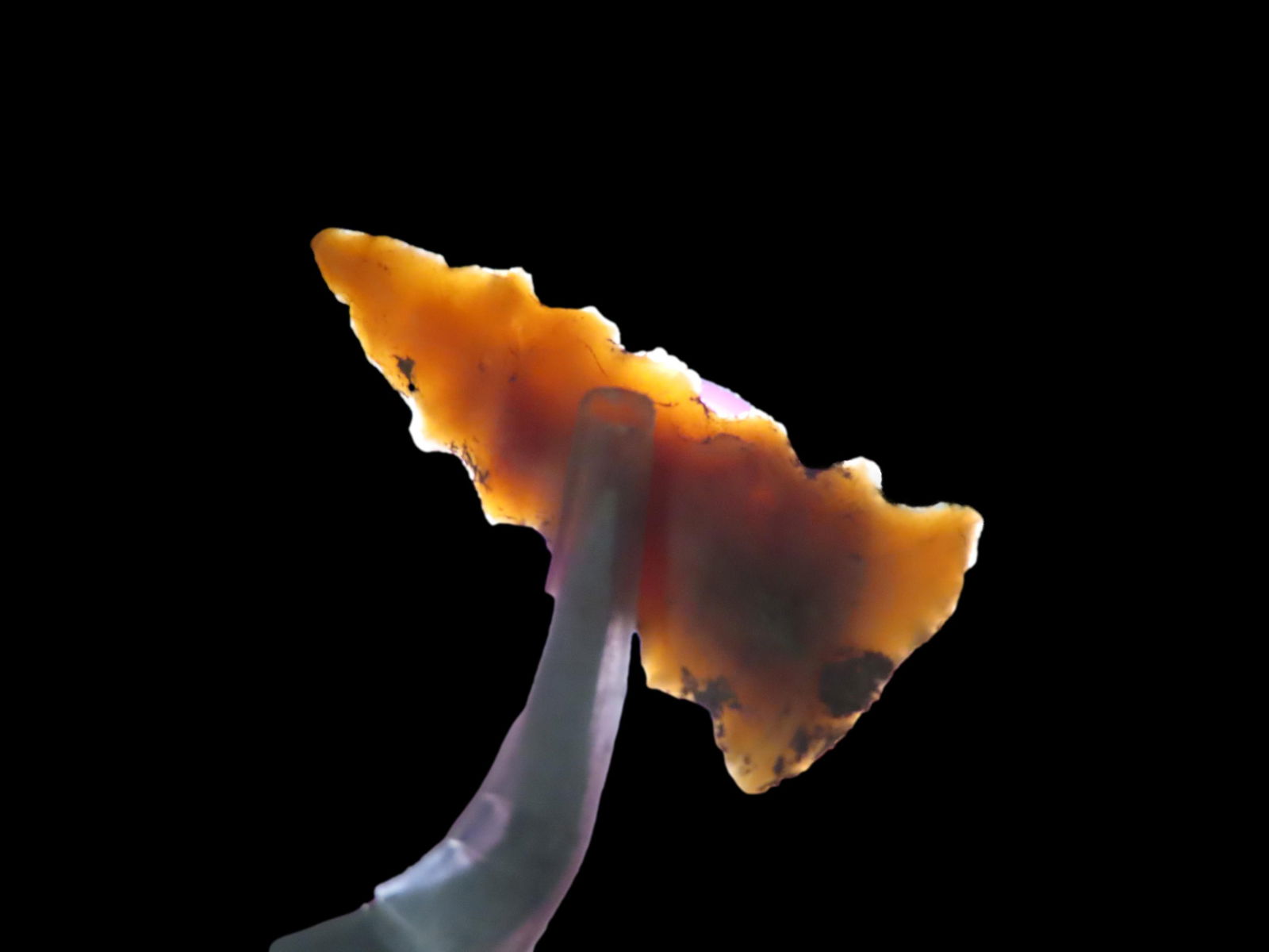 1 1/4" Fort Ancient Pt., found in in 1929 near Ashland, Boyd Co., Kentucky, Ex Jeff Thompson (1 of 6)