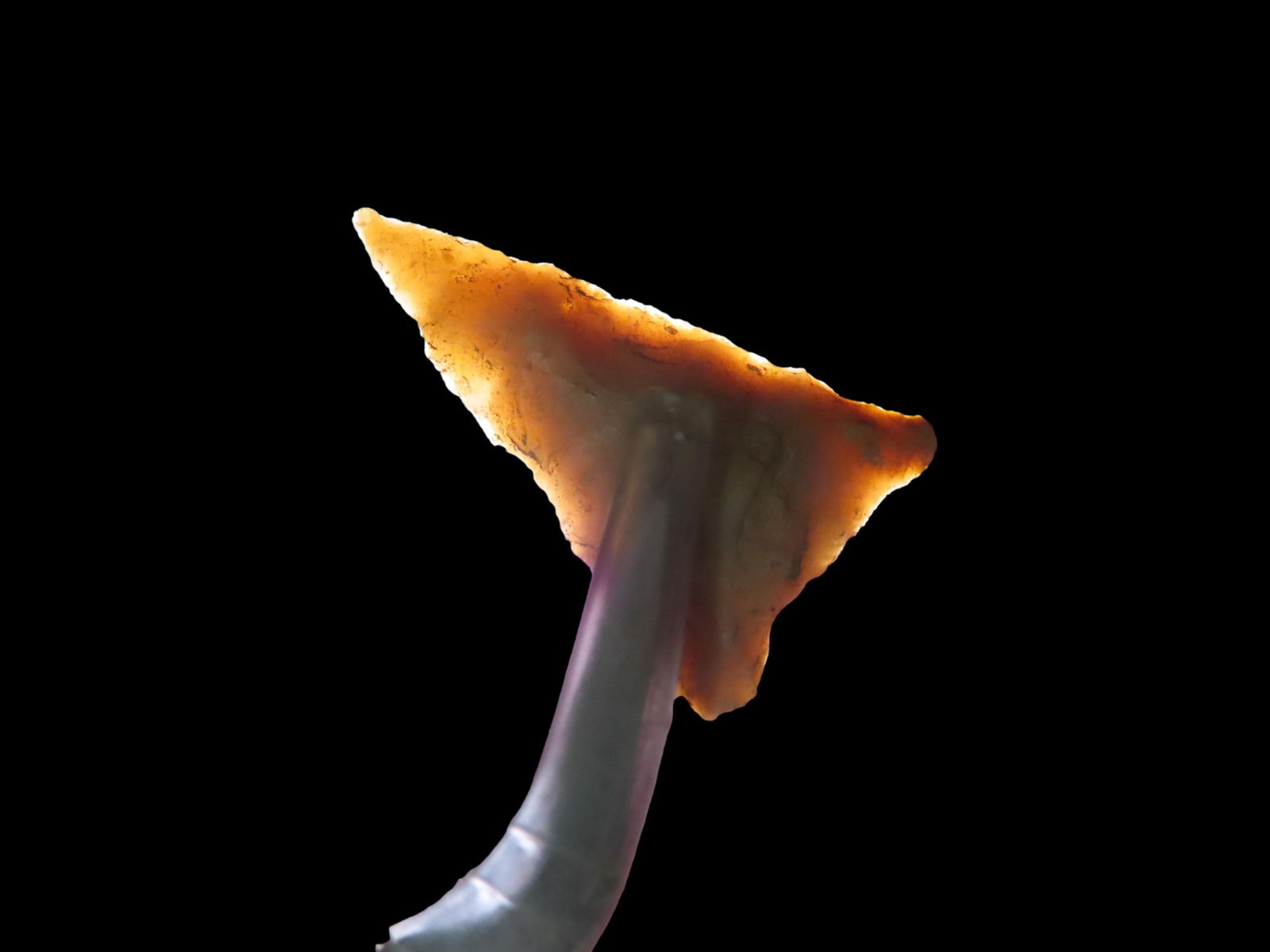 1 1/16" Fort Ancient Pt., found in in 1929 near Ashland, Boyd Co., Kentucky, Ex Jeff Thompson (1 of 6)