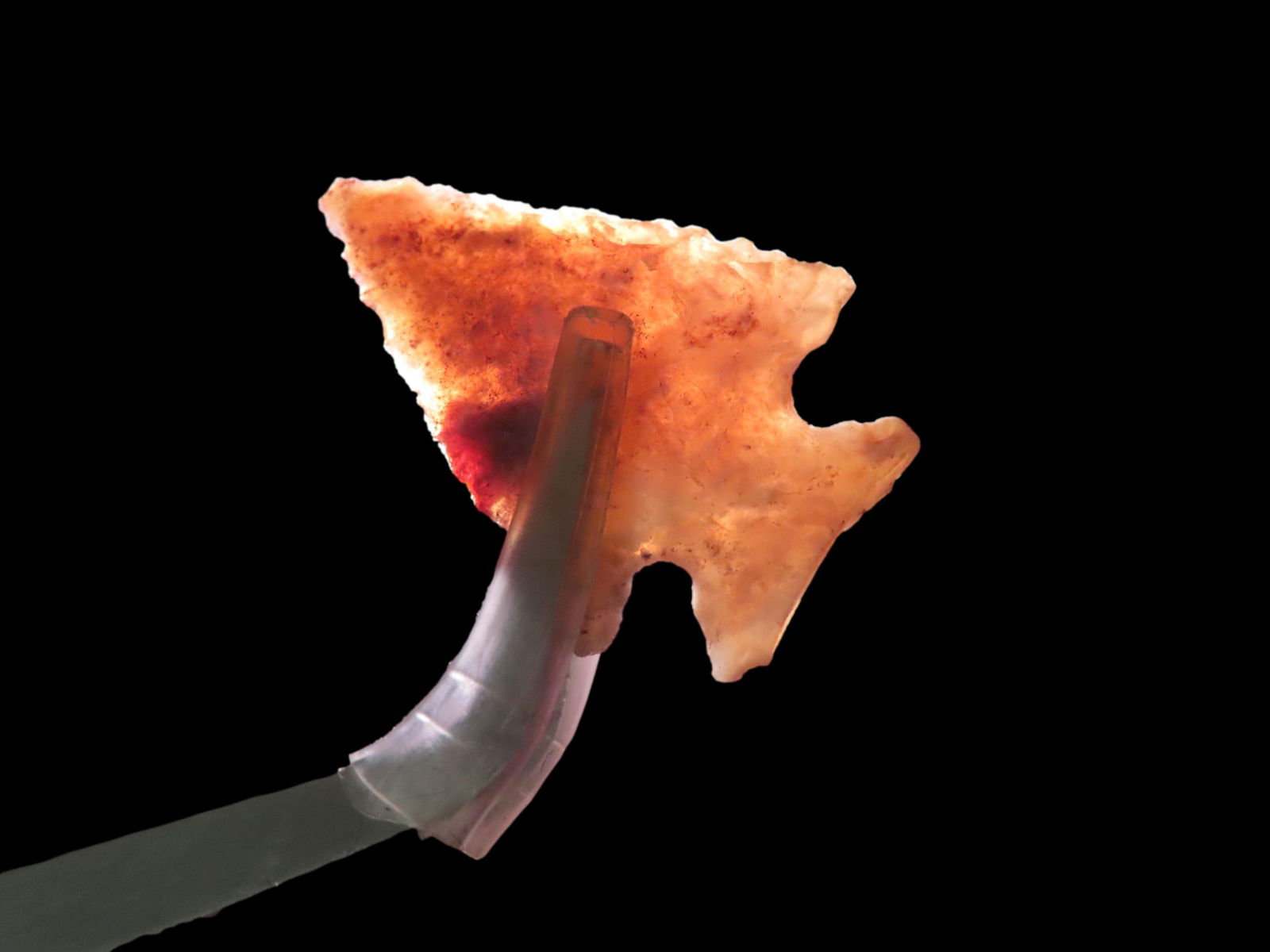 1 1/4" Agate Corner Notch, personal find, from Florida or Georgia, Ex Jeff Thompson Collection (1 of 6)